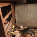 쭈쭈농장 이미지