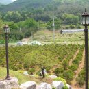 반송농장 이미지