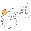 막걸리아노 네이버블로그