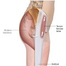 진심과정성 한의원 이미지