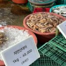 일곱번째 고양이 펜션 이미지