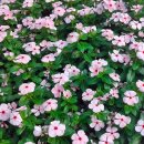 가좌근린공원 이미지