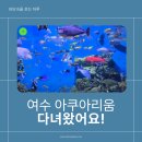 인형이랑 뽑기랑 | 초등학생과 여수 아쿠아리움 다녀온 후기-실내 가족여행지 추천