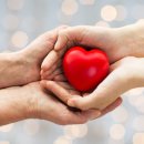 새몸새기운한미르한의원 이미지