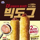 도그트랜드 이미지