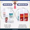 레푸스청라점 이미지