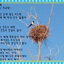 까치집 이미지