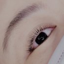 한사랑미용실 | 대전 속눈썹 펌 바비래쉬 후기(코스노리 속눈썹영양제로 속눈썹펌 주기 주의사항)