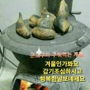 푸른향기님 이미지