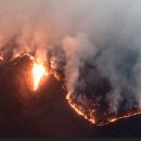 산불 영향 구역 4만 8150ha로 늘어… 피해 역대 최대 규모 이미지