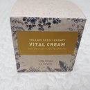 바이탈씨드(vital seed) 이미지