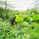 덕정 농장 이미지