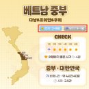 몰리 네일(molly Nail) | 다낭 우기 건기 기간 맞춤형 코스 추천 해드립니다.