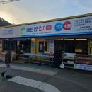 매미건어물