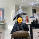 [용인] Bloom - 프라이빗한 1인 헤어샵에서 받은 시세이도 타이메틱 클리닉 후기