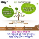 홈페이지/쇼핑몰 자동구축 프로그램 아람솔루션 이미지