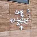 👉 대전 대동하늘공원 산책 후기｜벽화마을부터 전망대까지 아이와 가기 좋은 데이트 코스