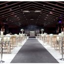 강남-250 이미지