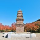 현리 무량사(縣里 無量寺) | 영양 영성사 (2022.10.19)