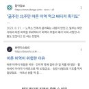 10그램 이미지