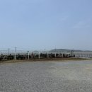 마시안쭈꾸미코다리