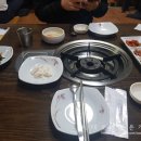 용궁복어 이미지