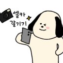 카페다월 이미지