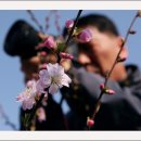 유관순체육관 이미지