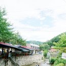 노원-현장-1125 | 수락산계곡 달라져 찾아간 구파발 인근 서울 계곡