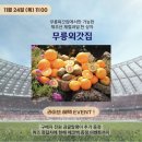 라이브제주