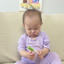 뽀뽀야어린이집 | 임신초기(뽀뽀일기)