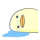 단골꽃집 이미지