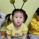 연주 벌꿀