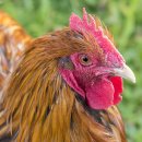 이야기한의원 이미지