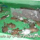 복미아구찜 이미지