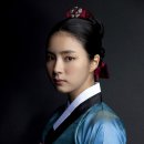 뿌리깊은나무 이미지