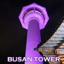 부산야경명소 부산타워 | 부산광역투어패스 BIG3