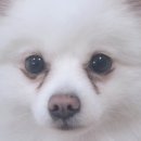 개스트룸 이미지