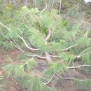 김주일농장 이미지