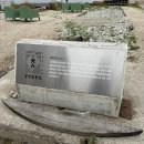 칠성소프트 | [속초 카페]속초 청초호 애견동반 대형카페 칠성조선소