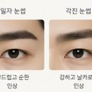 담트