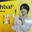 151헤어 | [내돈내산] 오송 2산단 헤어컷 맛집 헤어핏 후기