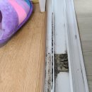 대주피오레 아파트 이미지