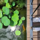 낙동강 강변하우스 이미지