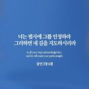 더잘