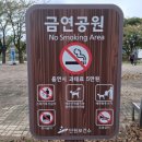 화랑유원지_경기도미술관주변 | 🌳 안산 화랑유원지 산책 &amp; 러닝 코스 (총 길이 1.74km) 🏃‍♀️💨