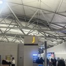 세번티 | 호주 젯스타만 세번 탄 후기 (젯스타 항공 지연, 좌석, 기내식, 추가 수화물)