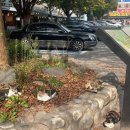 선운산정자나무집 이미지