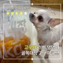 비타민도매몰 | 대용량 간식 골목대장 고구마큐브!