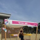 예쁜솜사탕 | [서울 벚꽃 축제] 아이와 가볼만한곳 추천! 2026 국회 개방 행사 솜사탕 이벤트 후기
